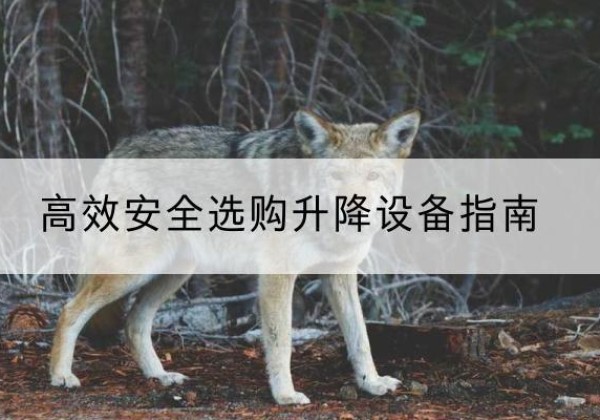 合江升降货梯厂家推荐-*安全选购升降设备指南
