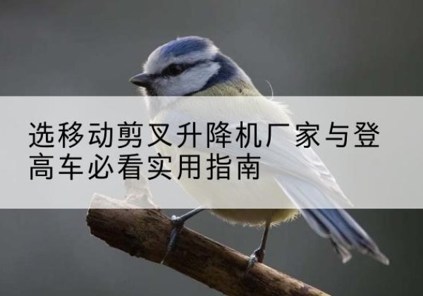 合江电动升降机厂家-选移动剪叉升降机厂家与登高车必看实用指南